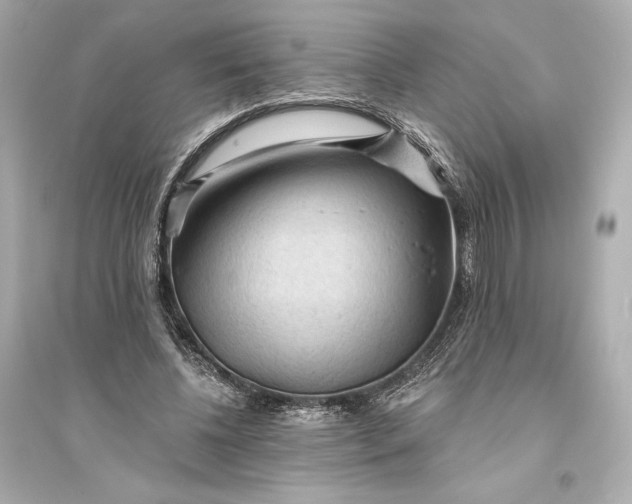 X0000094810540200711301553