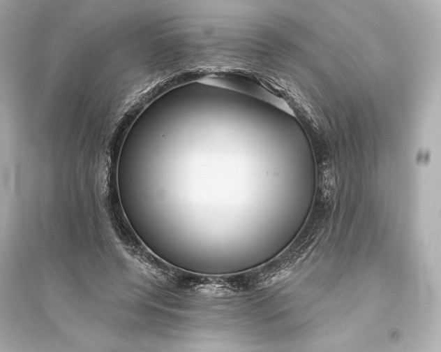 X0000094810544200711301553