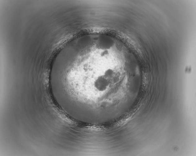 X0000094810545200711301553