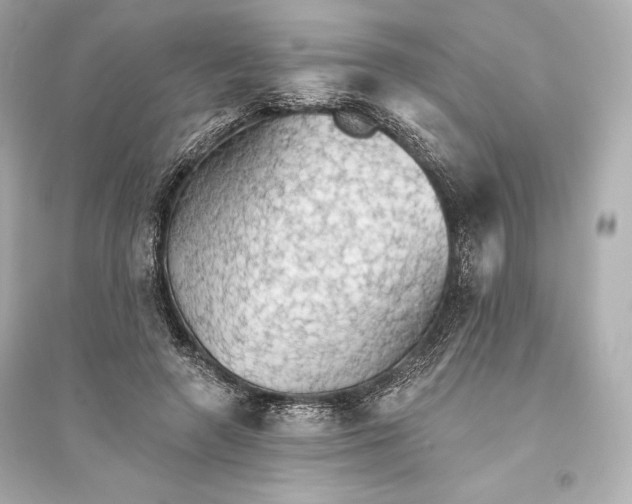 X0000094810546200711301553