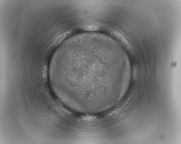 X0000094810549200711301553