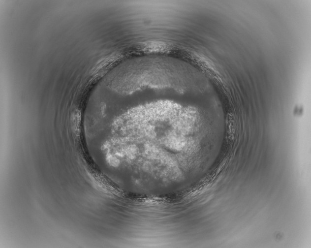 X0000094810550200711301553