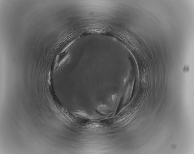 X0000094810551200711301553