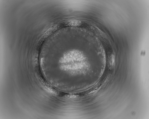 X0000094810553200711301553