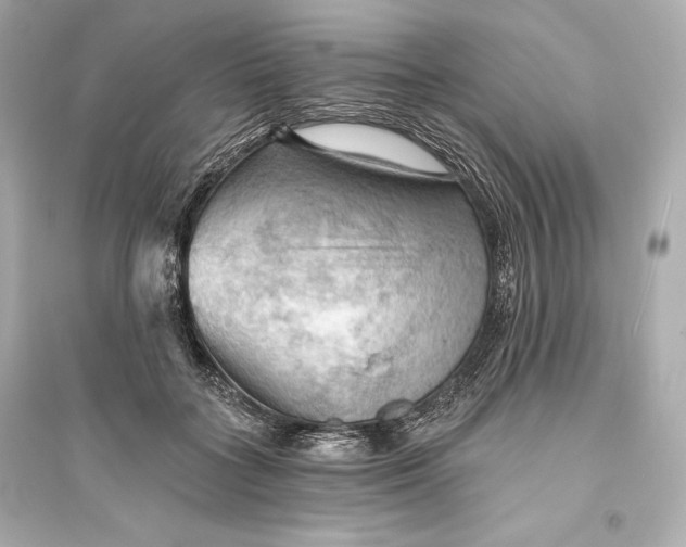 X0000094810555200711301554