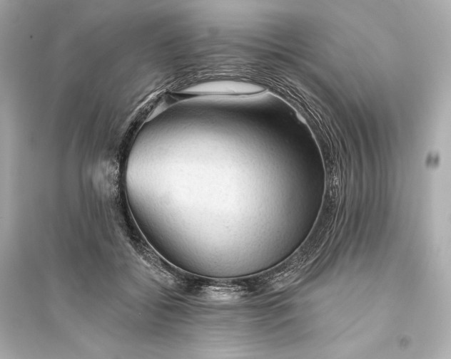 X0000094810556200711301554