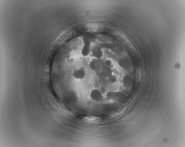 X0000094810557200711301554