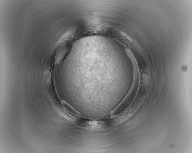 X0000094810558200711301554