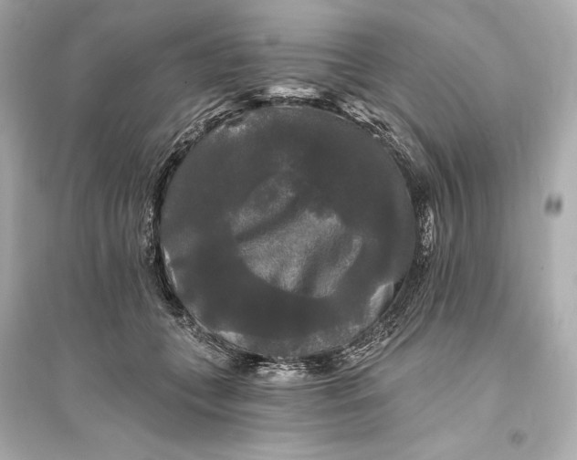 X0000094810559200711301554