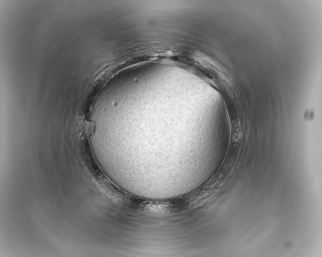 X0000094810560200711301554