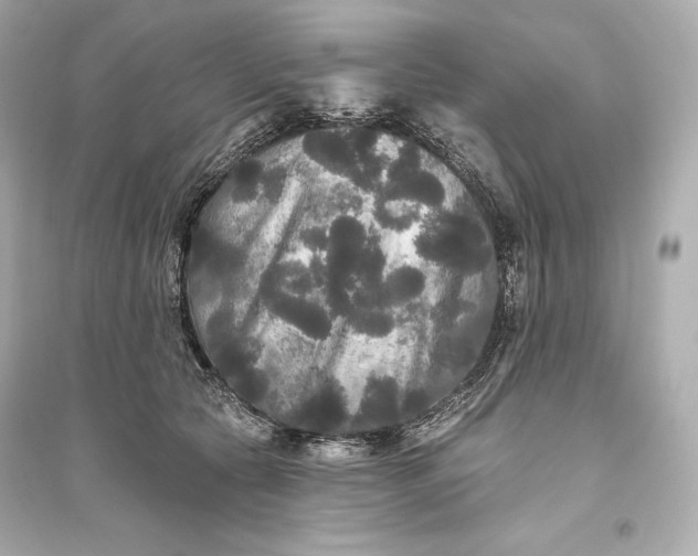 X0000094810561200711301554