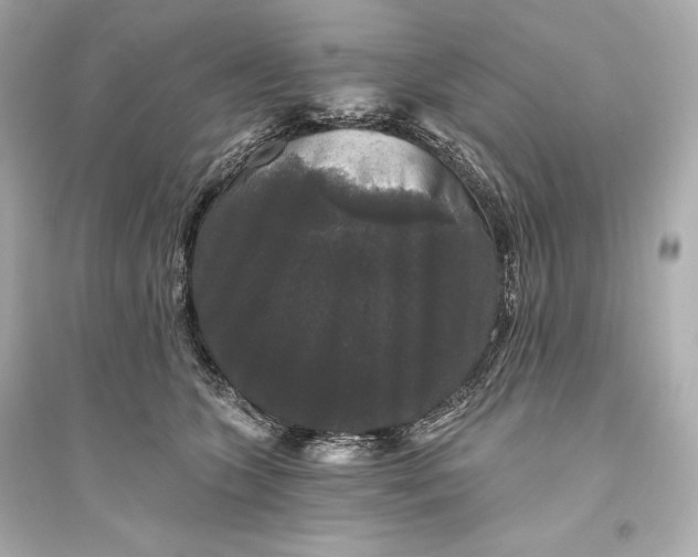 X0000094810563200711301554