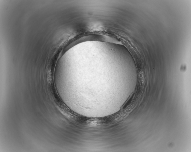 X0000094810564200711301554