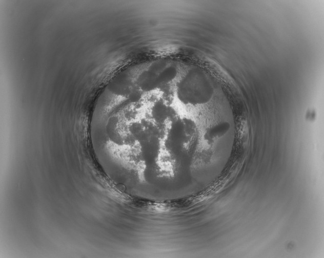 X0000094810565200711301554