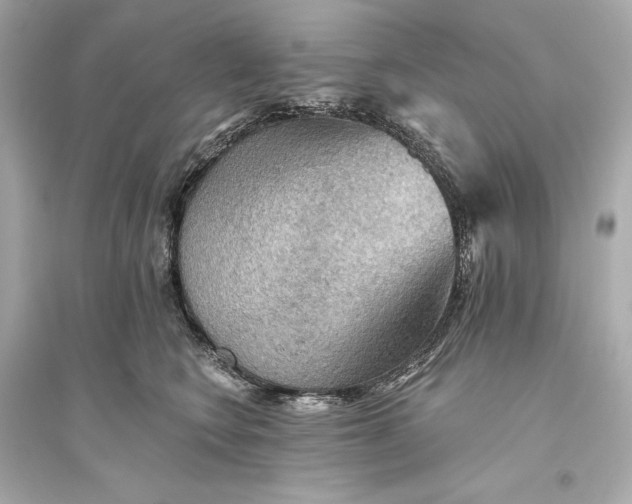 X0000094810566200711301554