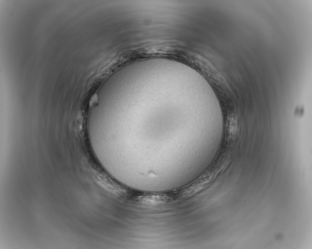 X0000094810567200711301554