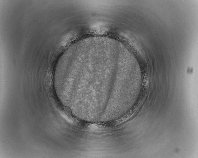 X0000094810568200711301554