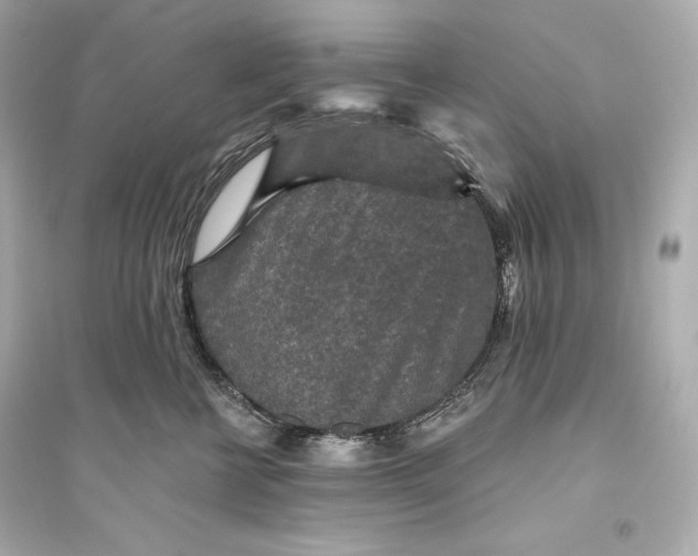 X0000094810570200711301554