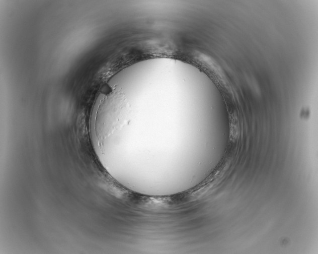 X0000094810573200711301554