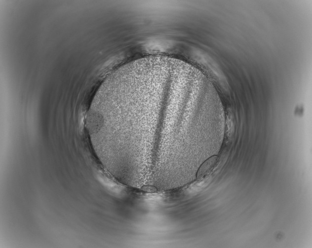 X0000094810574200711301554