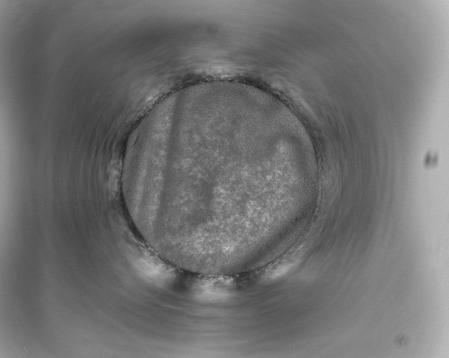 X0000094810576200711301554