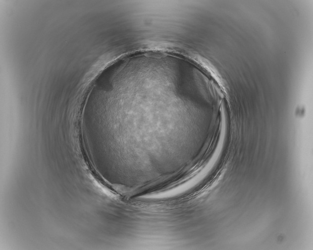 X0000094810577200711301553