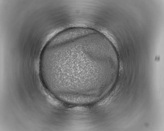 X0000094810578200711301553