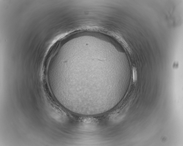 X0000094810579200711301553