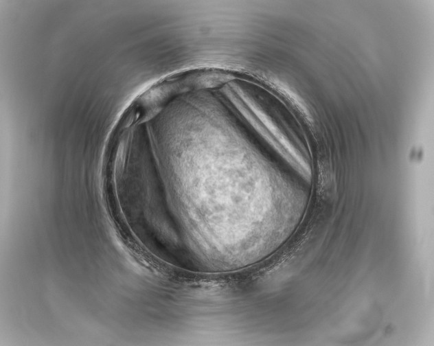 X0000094810580200711301553