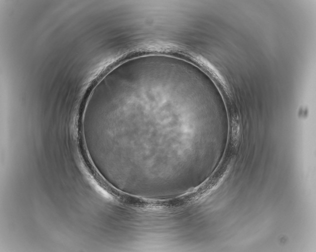 X0000094810581200711301553