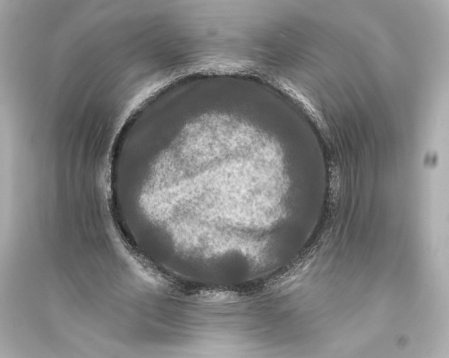 X0000094810582200711301553