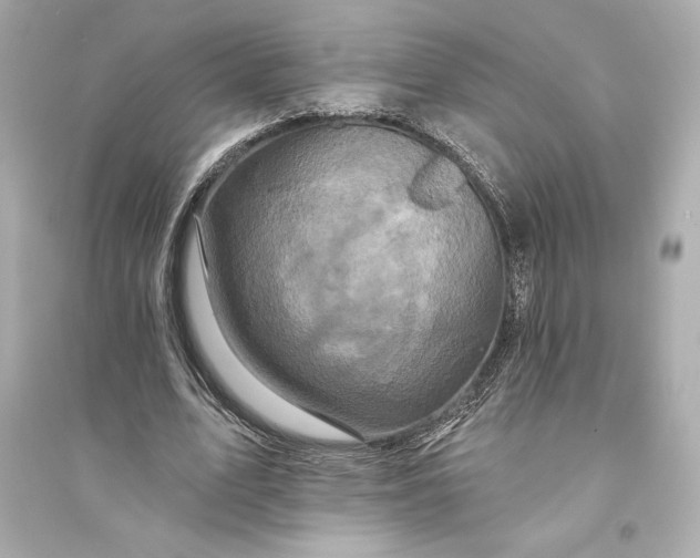 X0000094810583200711301553