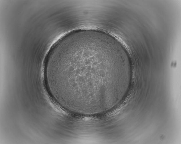 X0000094810584200711301553