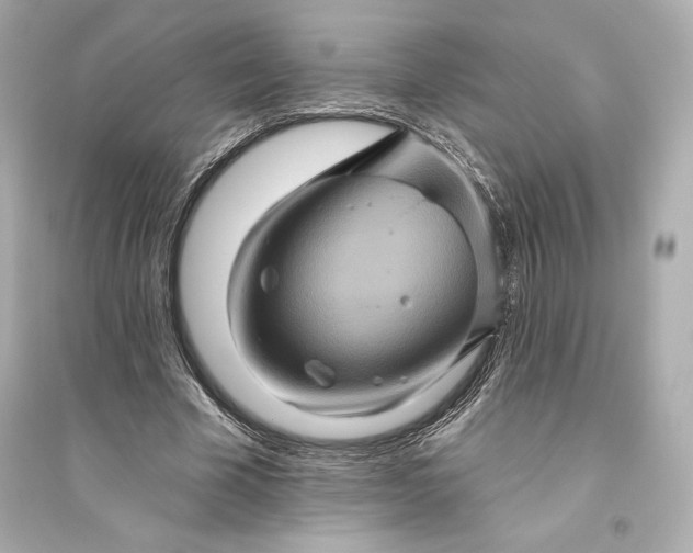 X0000094810585200711301553