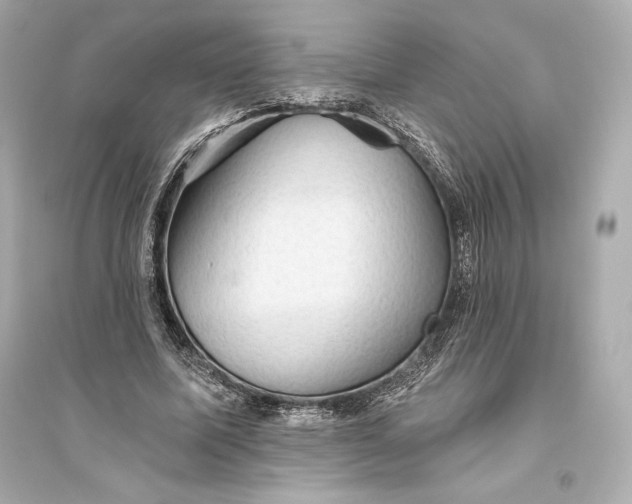 X0000094810587200711301553