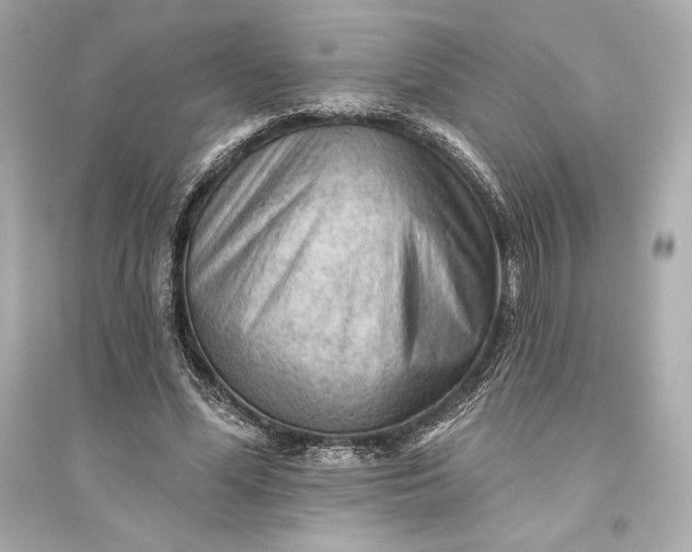 X0000094810588200711301553