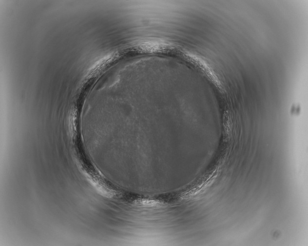 X0000094810590200711301553