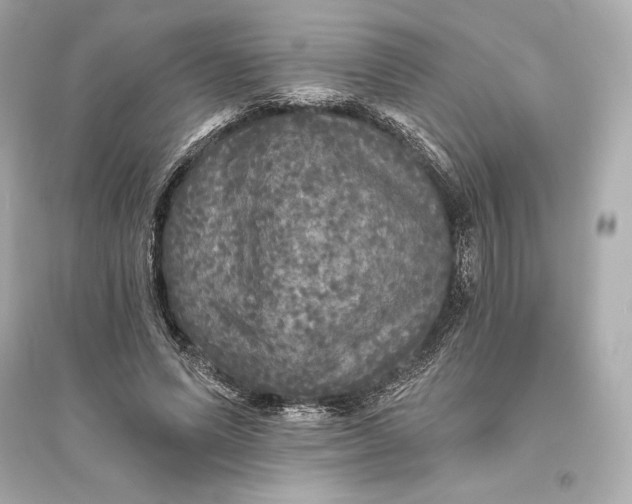 X0000094810591200711301553