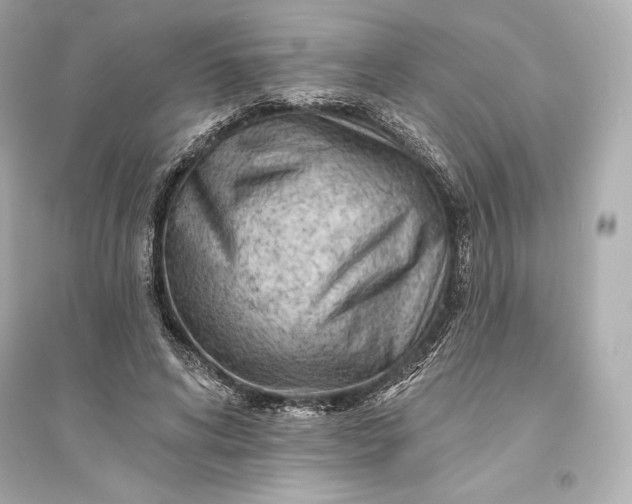 X0000094810592200711301553