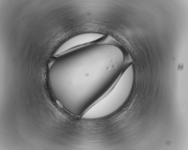 X0000094810593200711301553