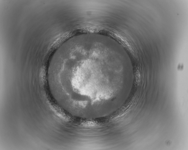 X0000094810594200711301553