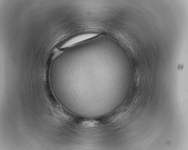 X0000094810595200711301553