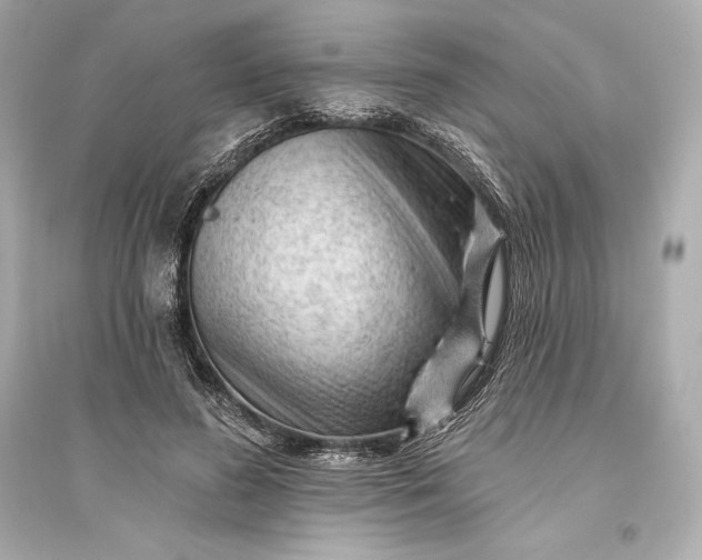 X0000094810596200711301553