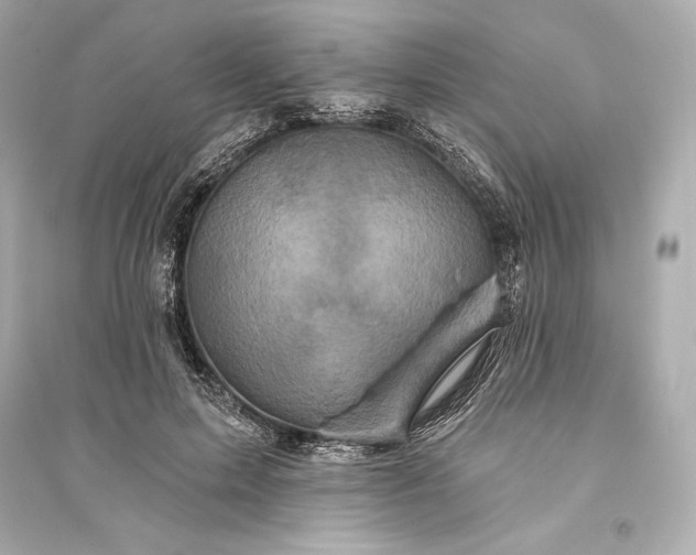 X0000094810599200711301553