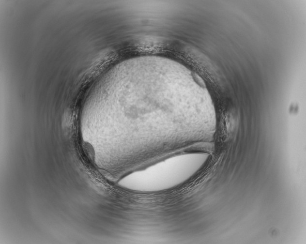 X0000094810601200711301553