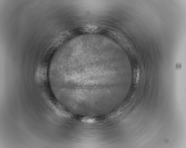 X0000094810602200711301553