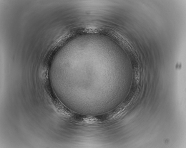 X0000094810603200711301553