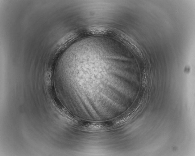 X0000094810604200711301553