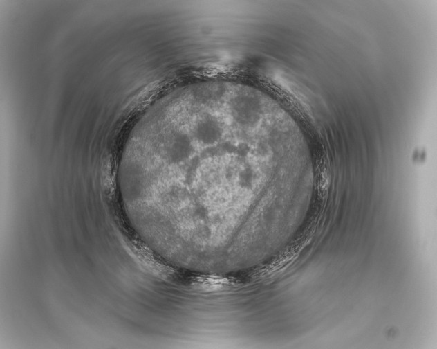 X0000094810607200711301553