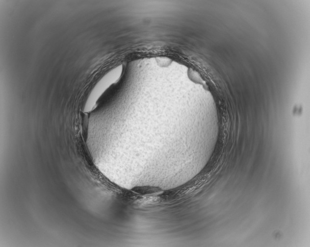 X0000094810609200711301553